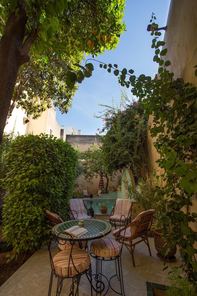 Riad Norma 40/50