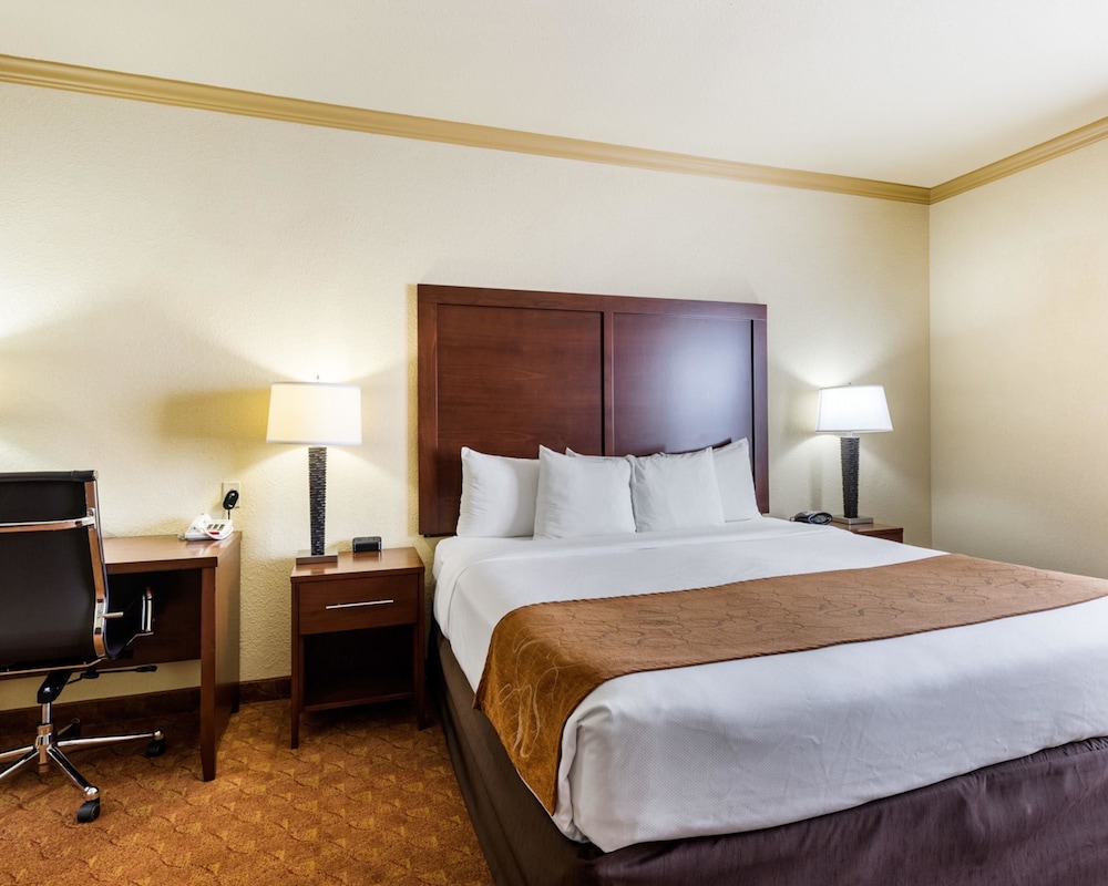 Comfort Suites near NASA - Clear Lake 15/39
