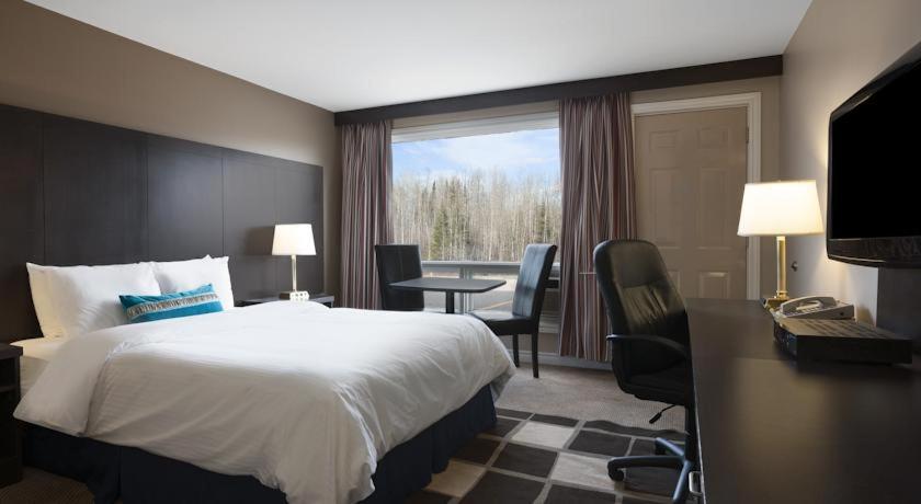 Room, King Bed