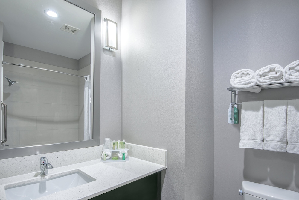 Holiday Inn Express Suites Houston North Iah Area 11/44