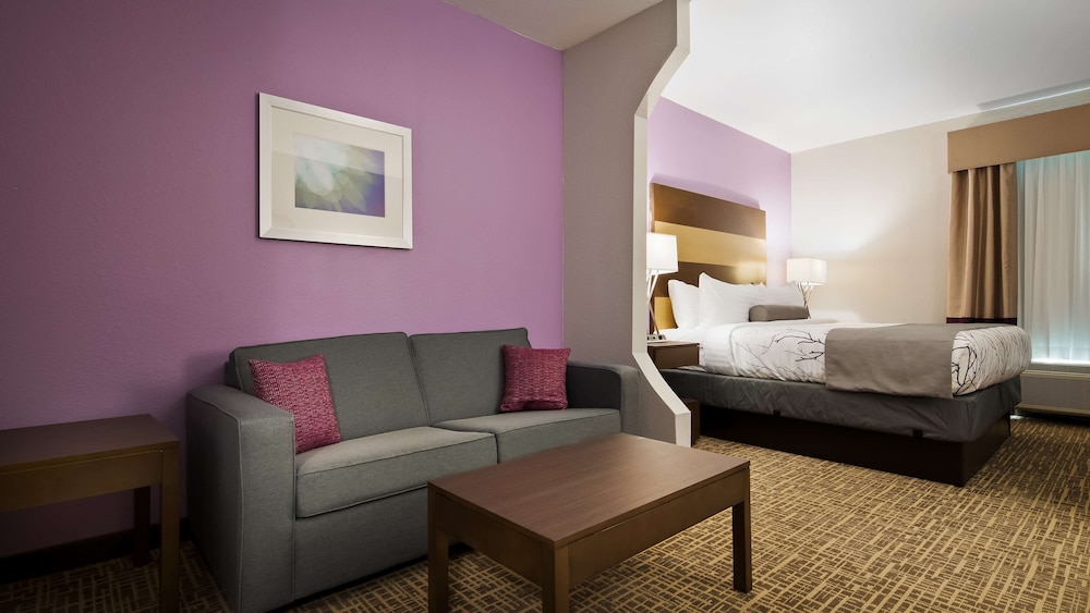 Best Western Plus Buda Austin Inn and Suites 25/35