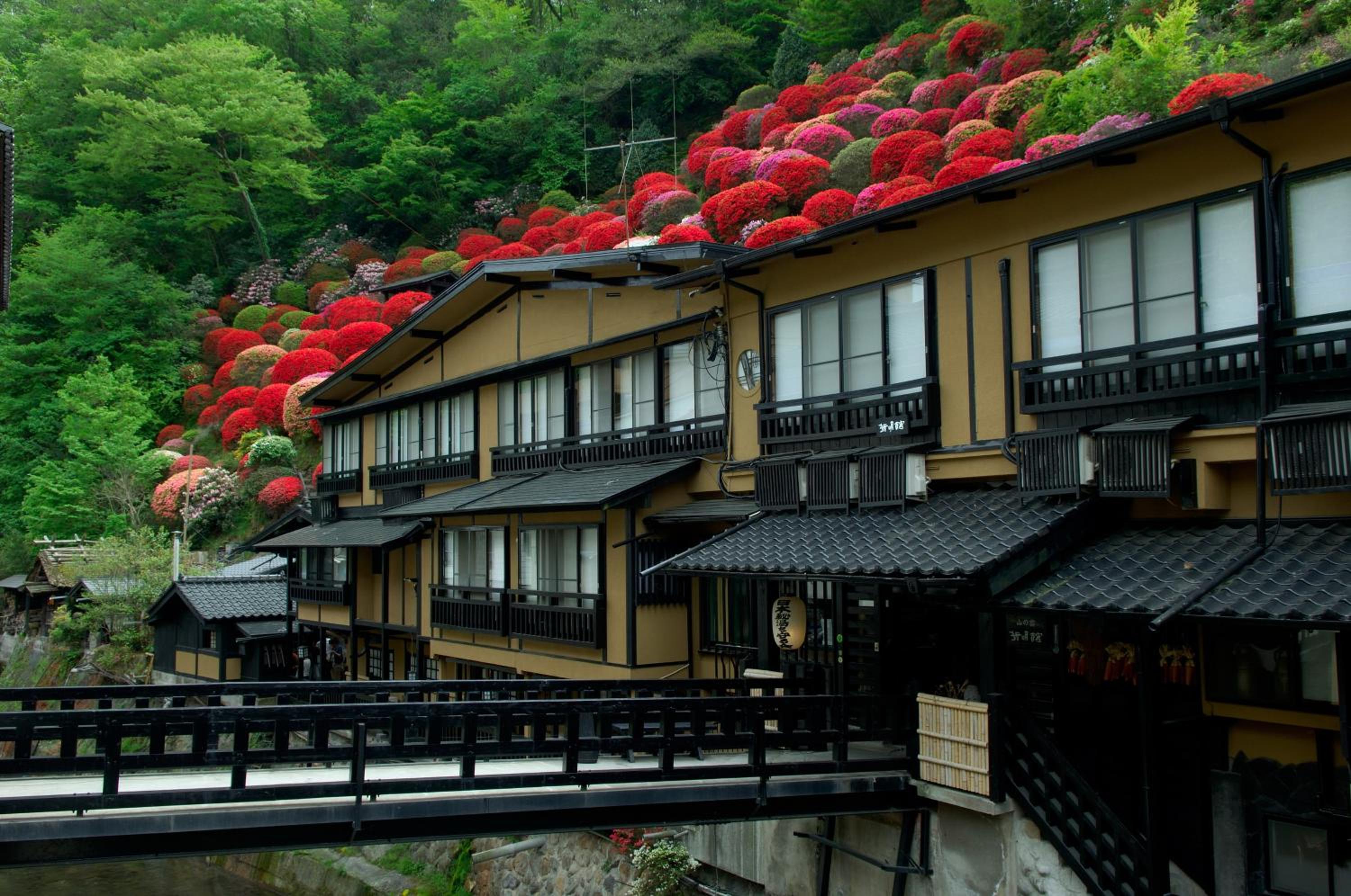 Kurokawa Onsen Yama no Yado Shinmeikan 5/46