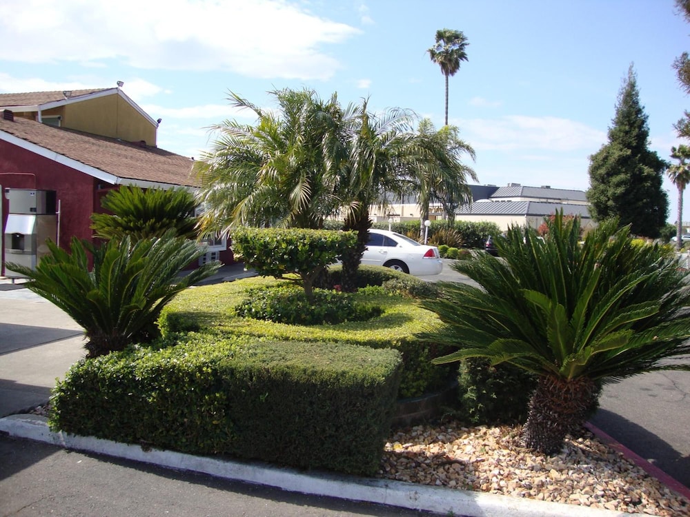 Oasis Inn Sacramento Elk Grove 6/25