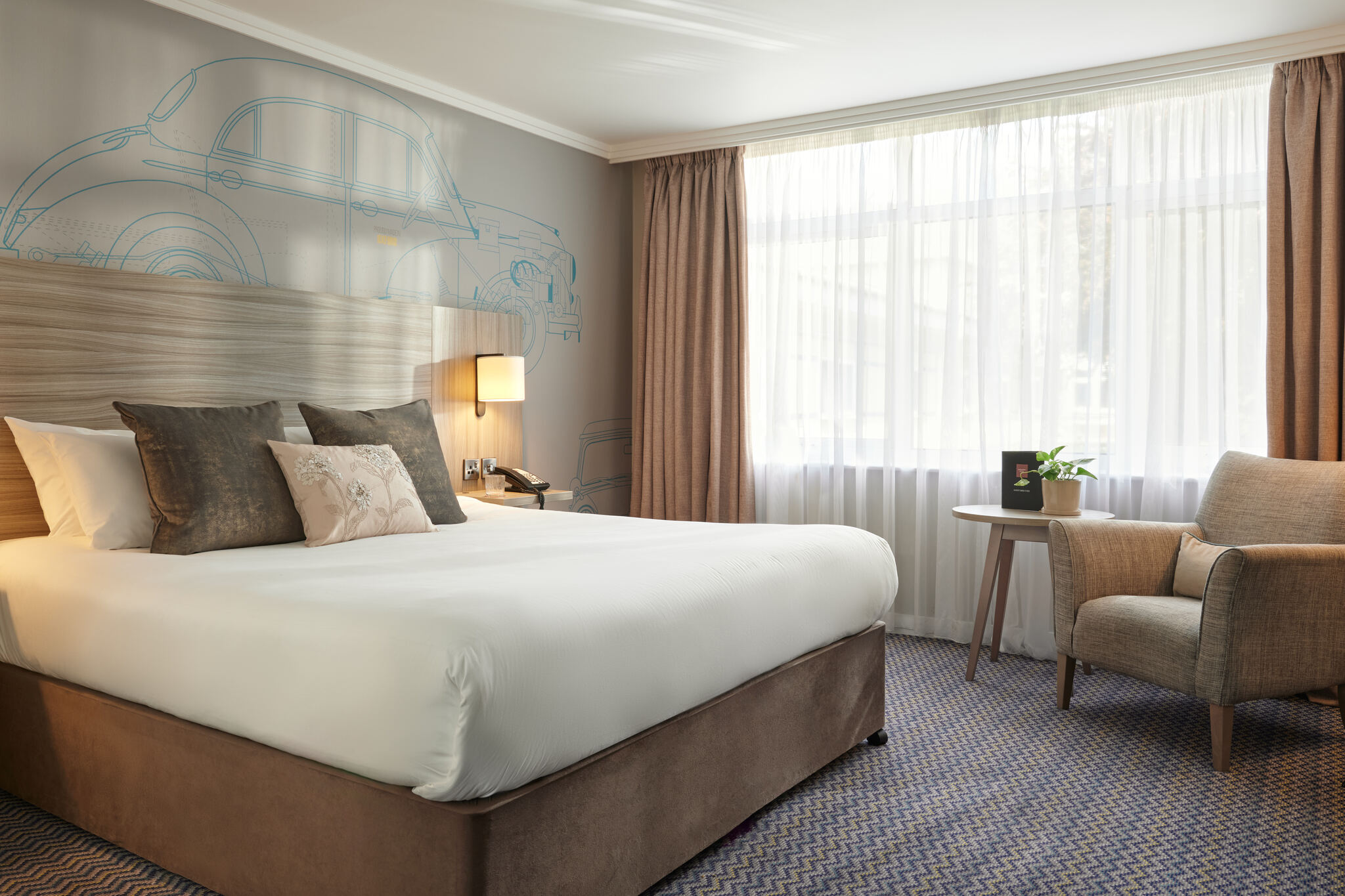 Superior, Single, King Bed