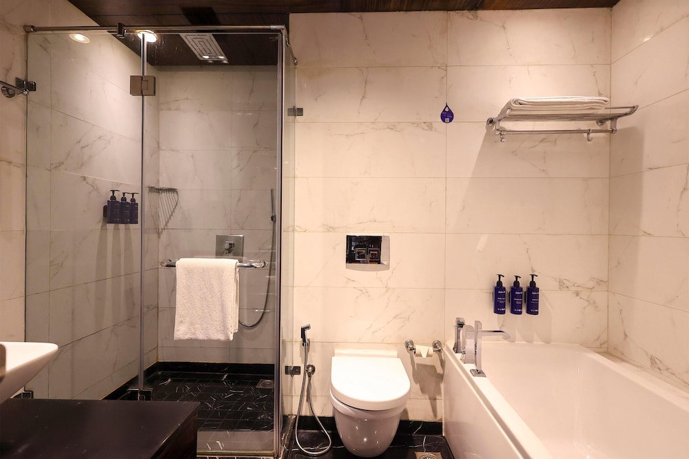 Radisson Blu New Delhi Paschim Vihar 49/50