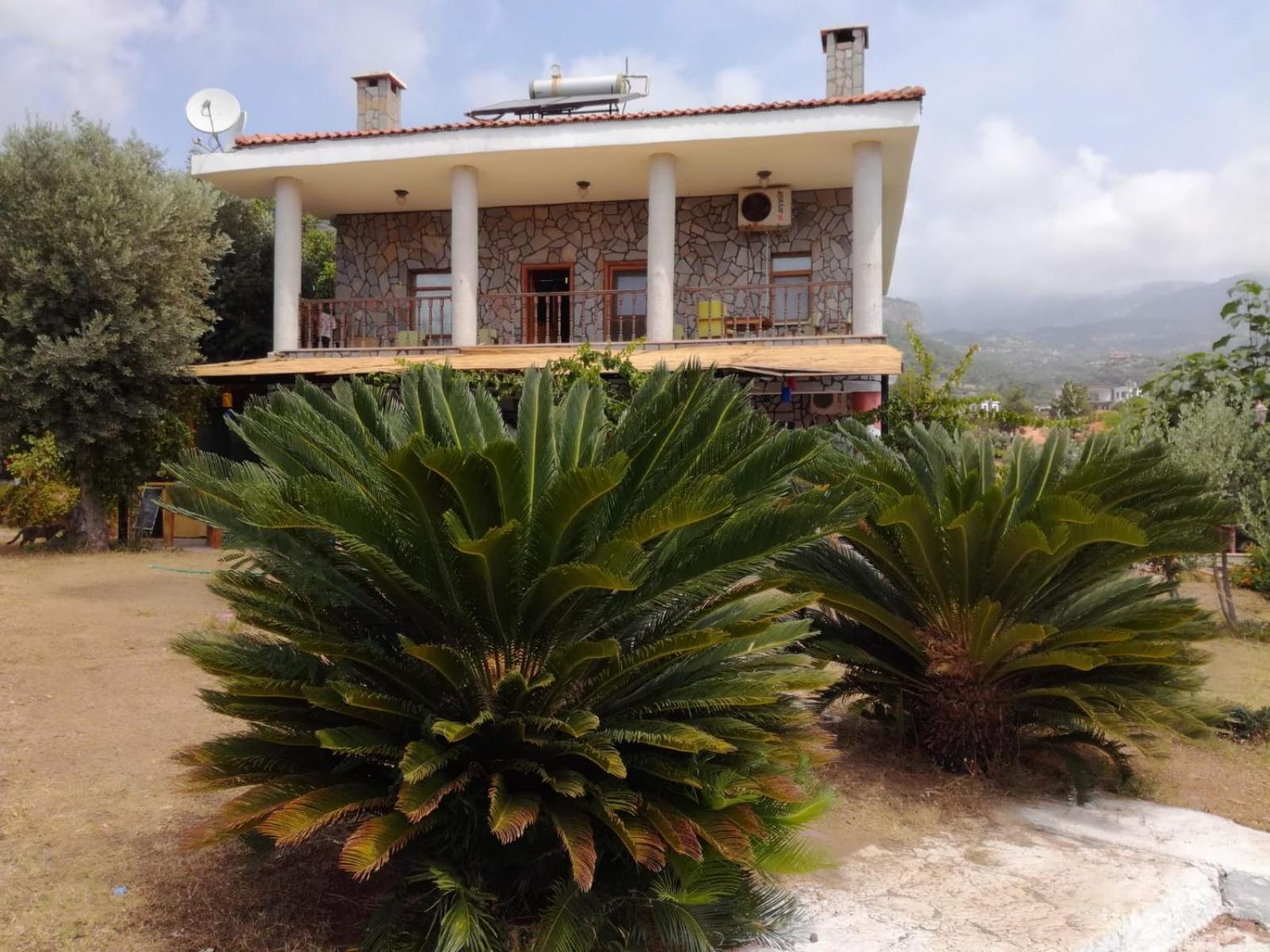 Bahar Bahce Datca 35/39