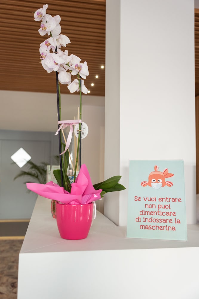 Hotel Adria 6/56