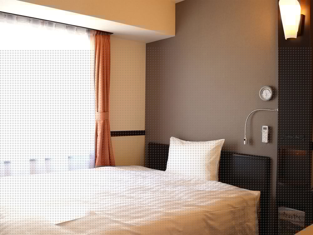 Toyoko Inn Chubu International Airport No.2 13/55