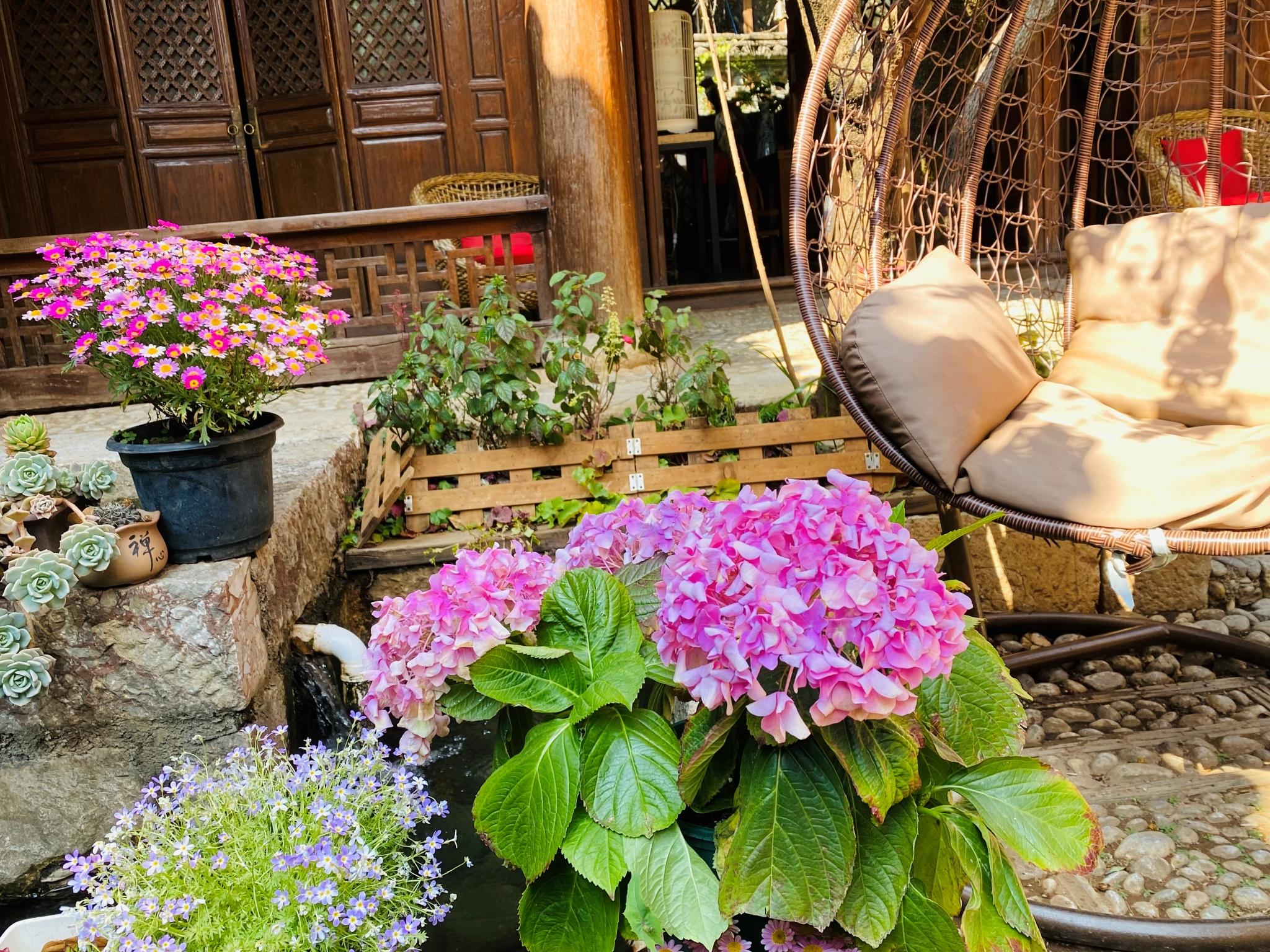 Blossom Hill Inn-Neverland HOTEL 46/50