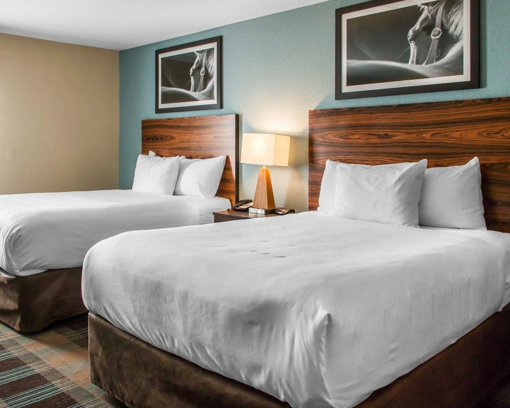 MainStay Suites Cotulla 14/37
