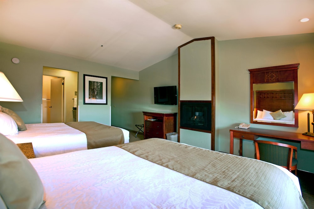Best Western Plus Forest Park Inn 18/53