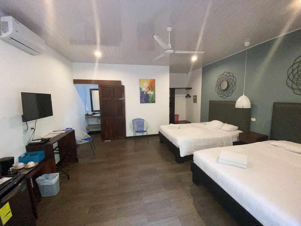 Hotel La Posada And Jungle 15/74