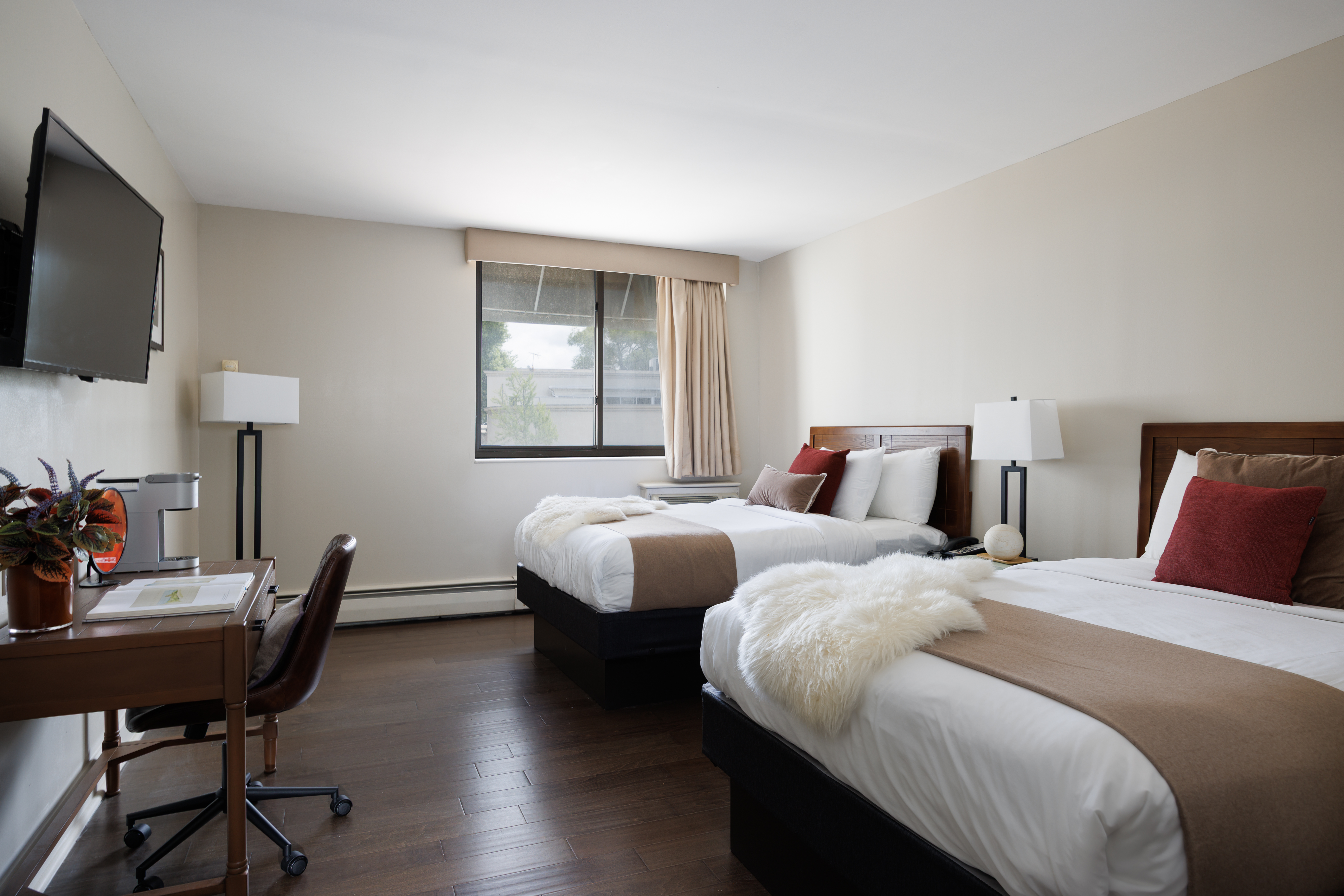 Room, 2 Double Beds