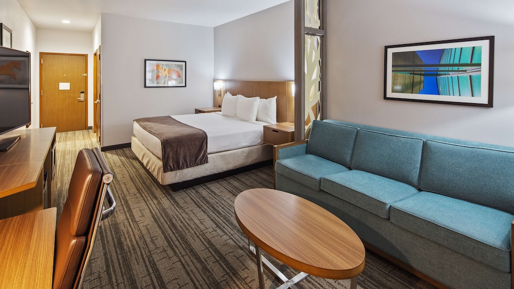 Best Western Green Oak Inn & Suites 22/30