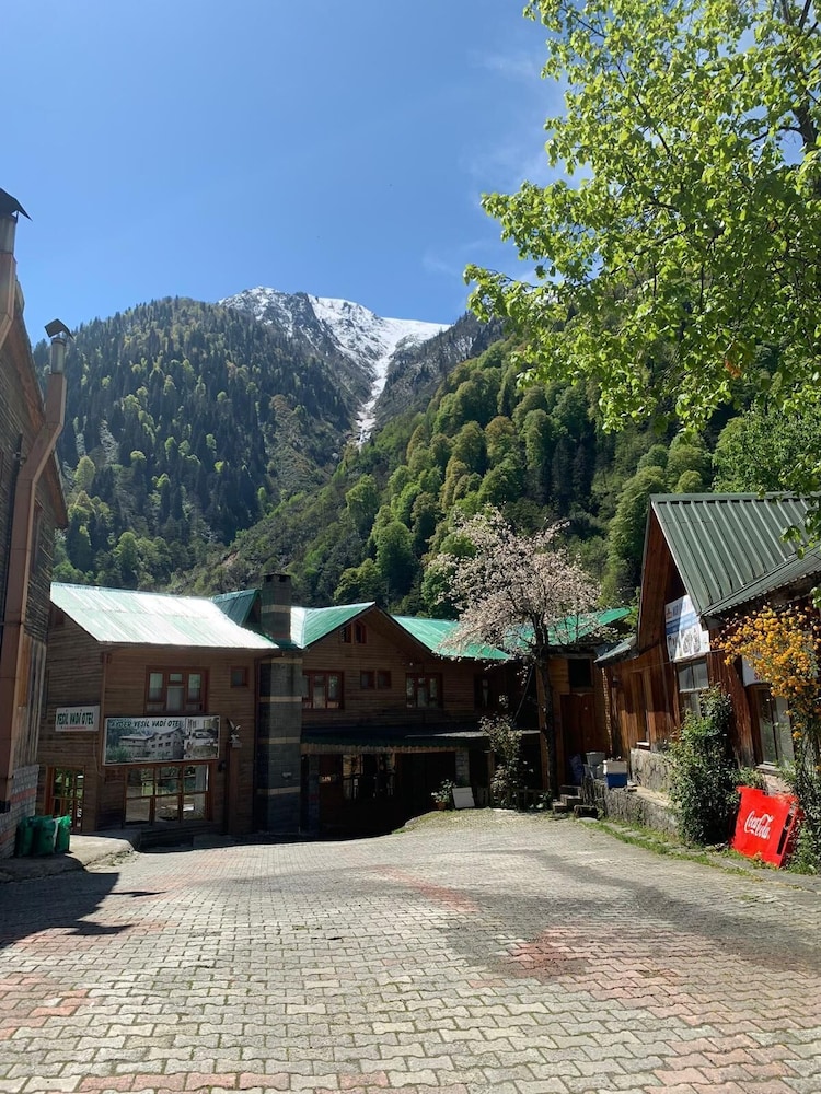 Ayder Yesil Vadi Otel 8/50