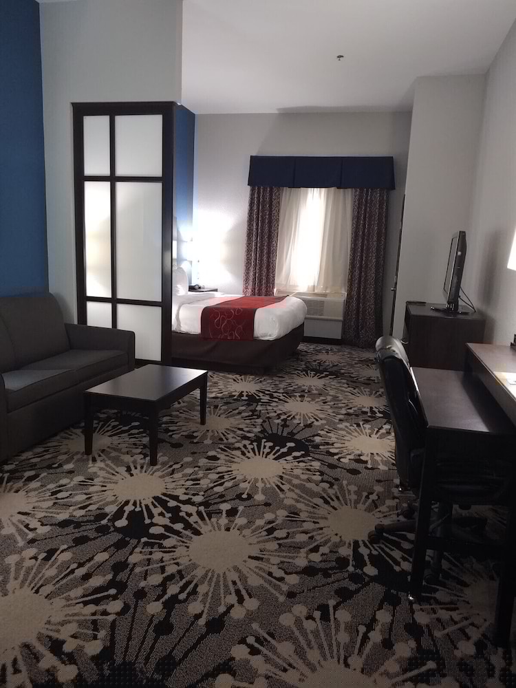 Comfort Suites Greenville 27/42