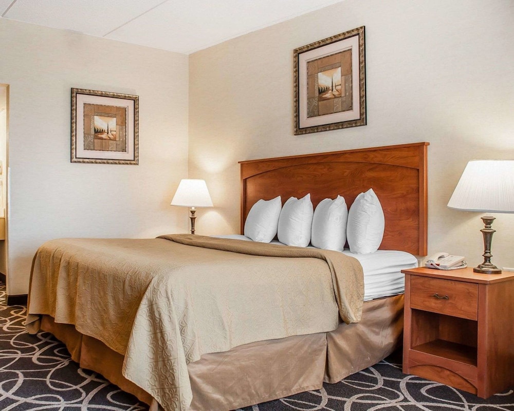 Quality Hotel & Suites At The Falls 21/51