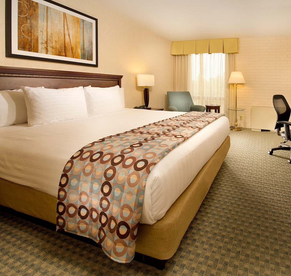 STANDARD, KING BED