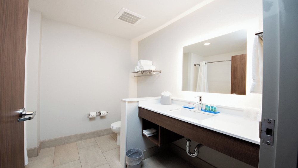 Holiday Inn Express & Suites Houston SW - Galleria Area 26/27