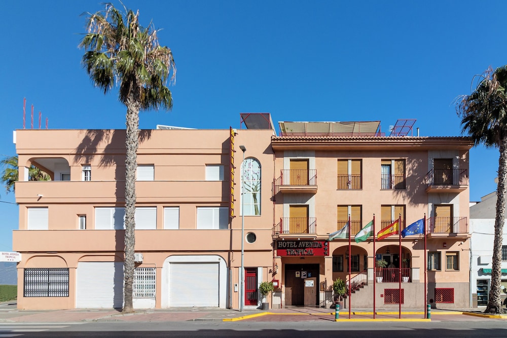 Hotel Avenida Tropical By Bossh 1/50