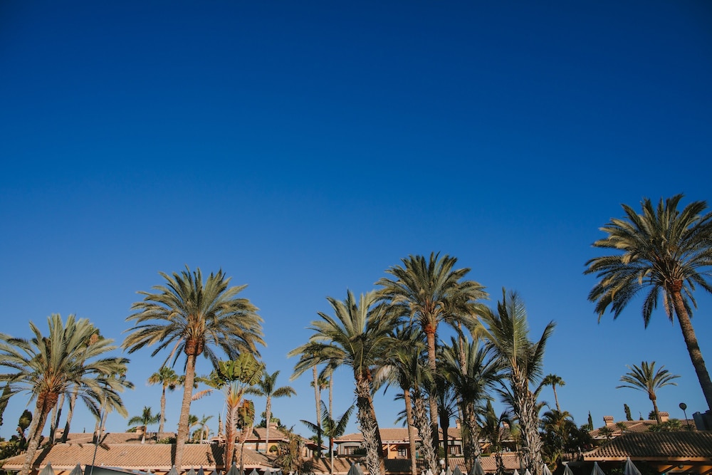 Maspalomas Resort by Dunas 34/42