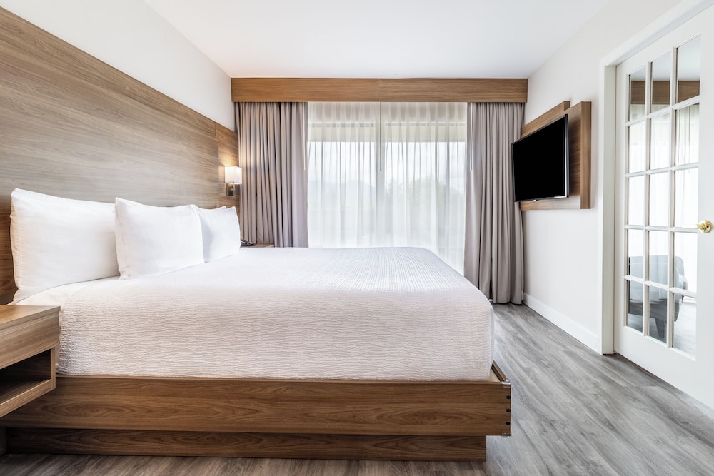 SUITE, KING BED, SOFA, KITCHENETTE, CORNER
