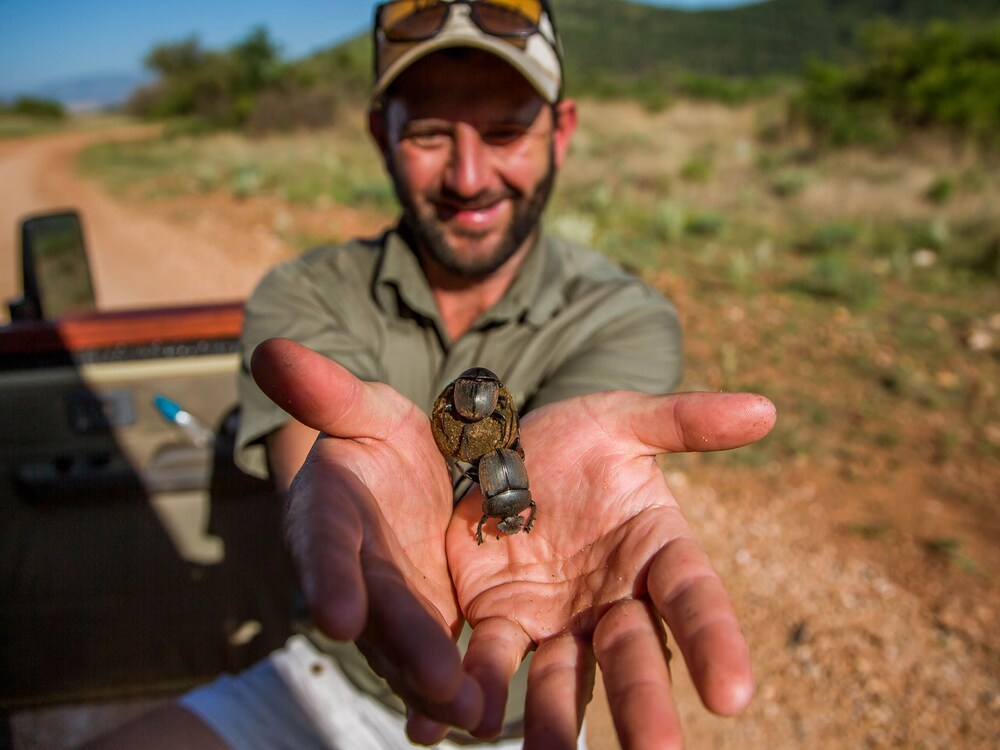 Nkomazi Game Reserve 44/69