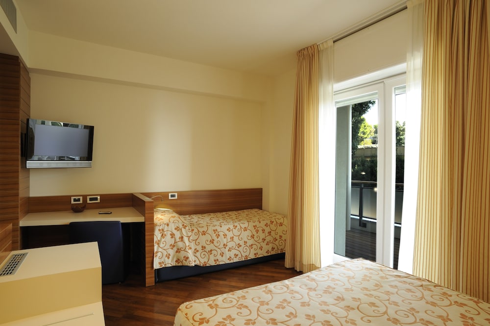 Hotel Le Roi 16/67