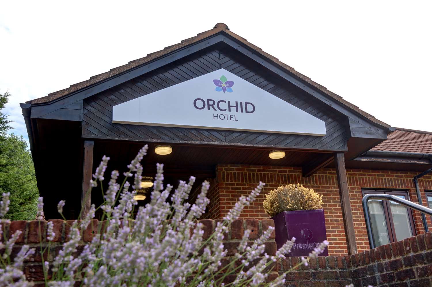 Orchid Epsom Sure Hotel Collection By Best Western 1/6