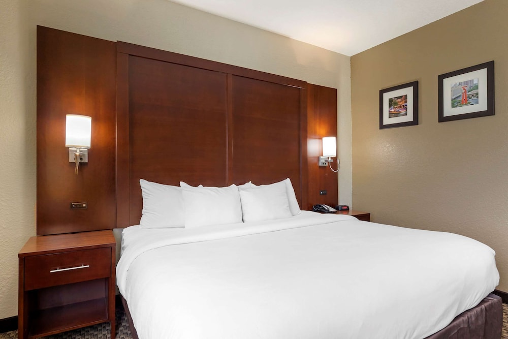 Comfort Inn & Suites Near Six Flags & Medical Center 14/36