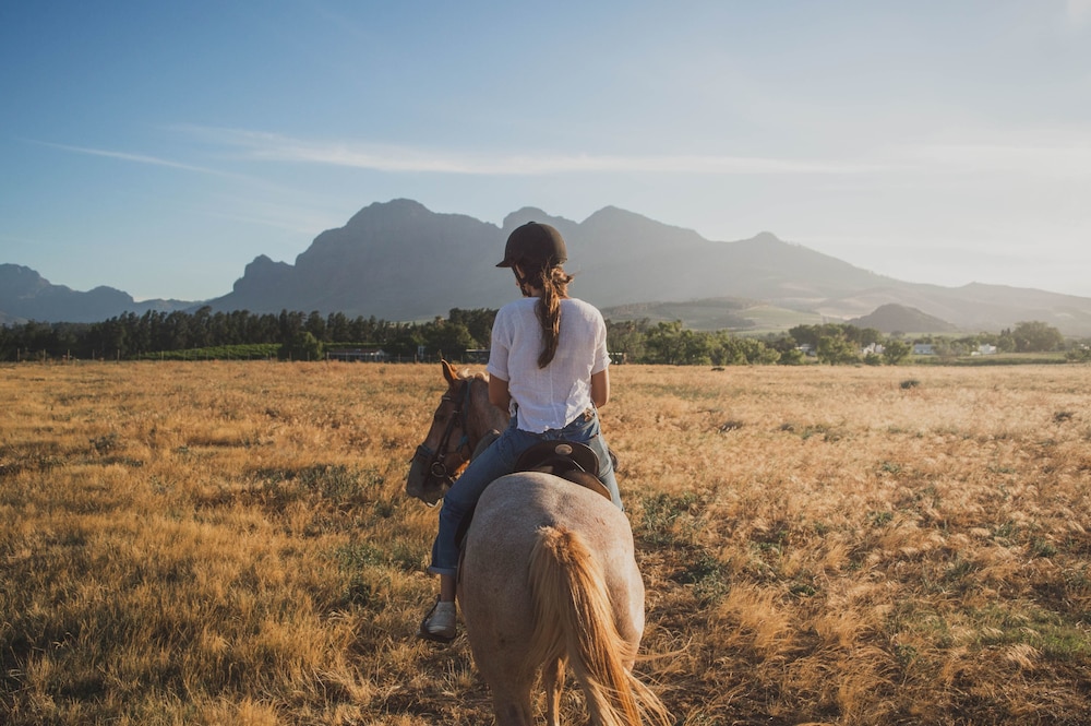 Franschhoek Boutique Hotel 32/45