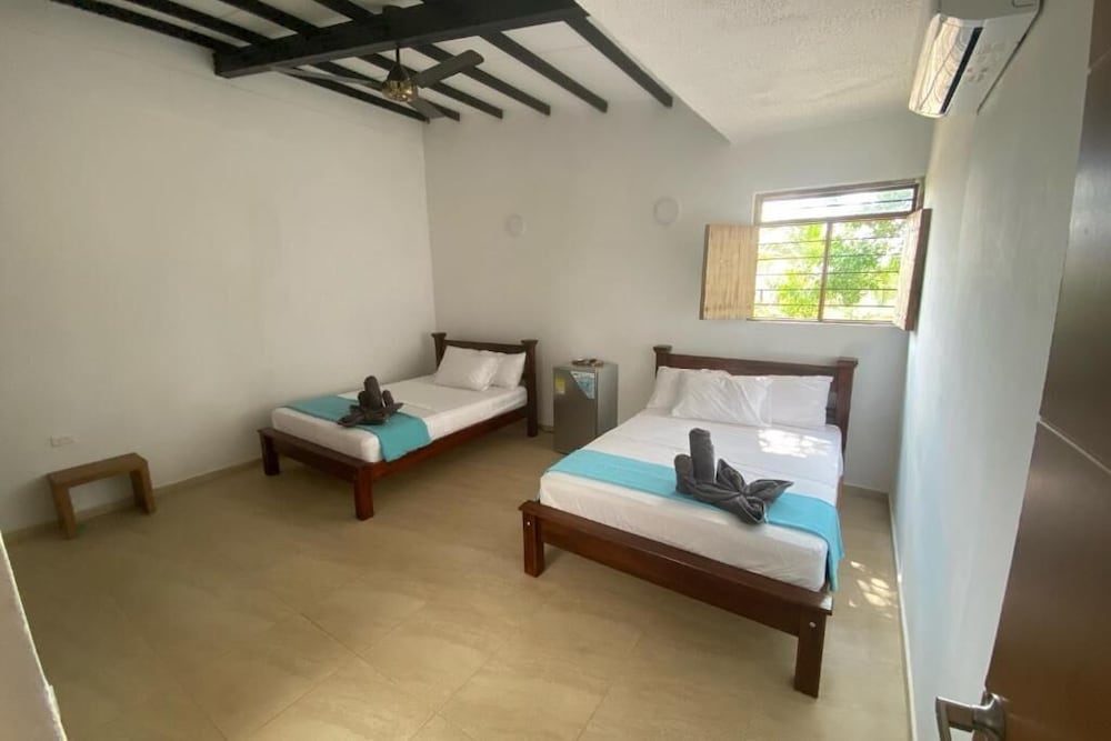 Palmas del Rio 44/50