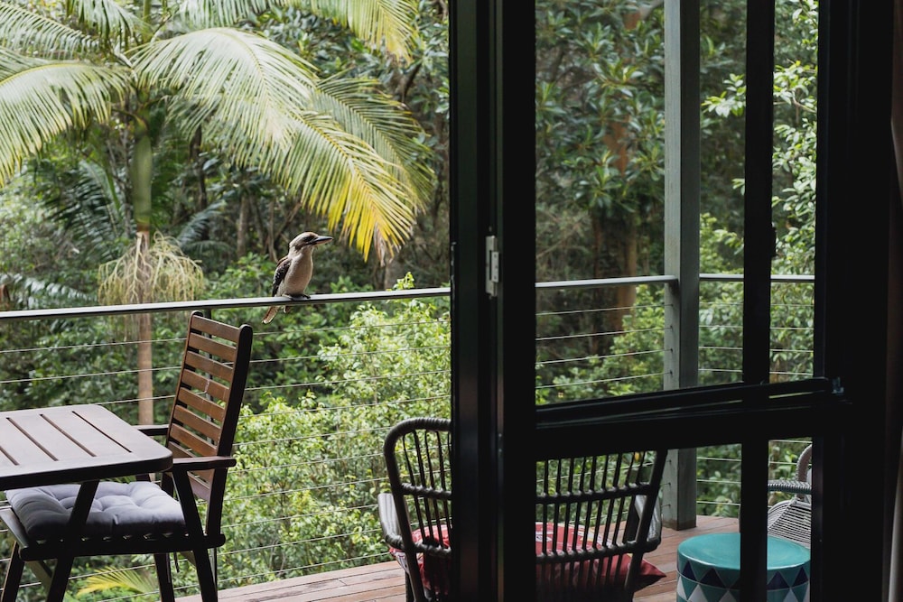 Kondalilla Eco Resort 32/47