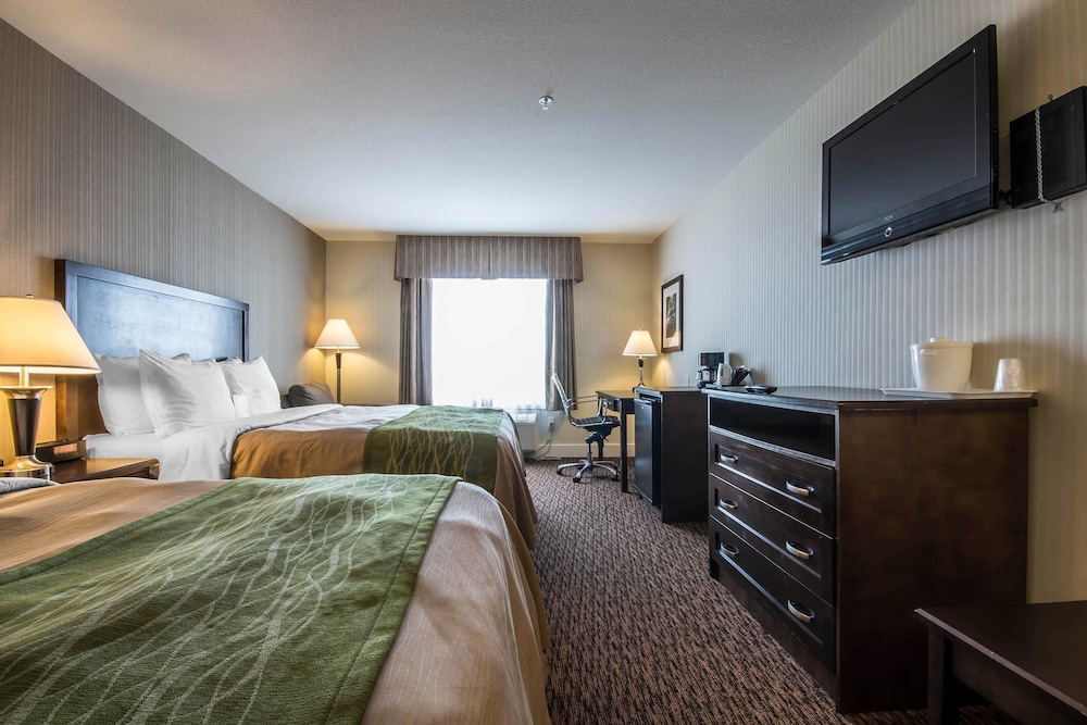 Comfort Inn & Suites Surrey 9/60