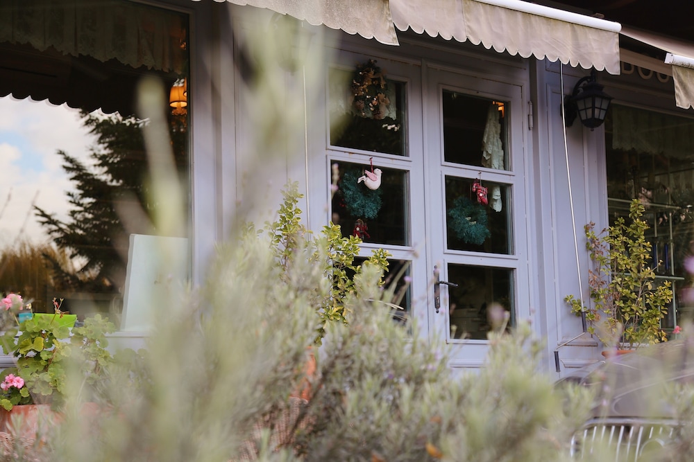 Casa Lavanda Boutique Hotel 4/50