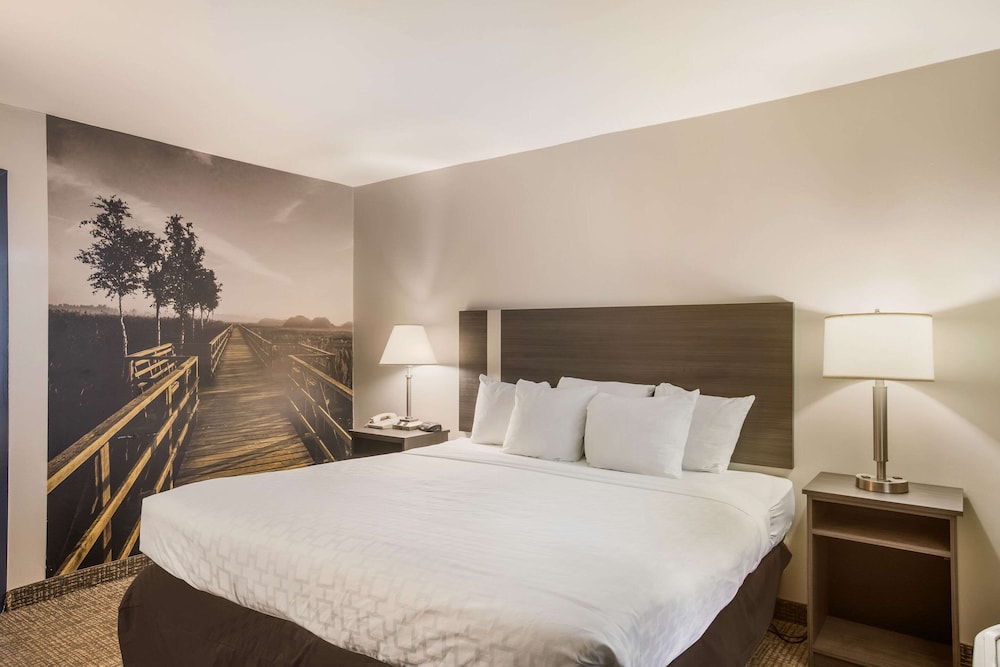 Room, King Bed, Accessible