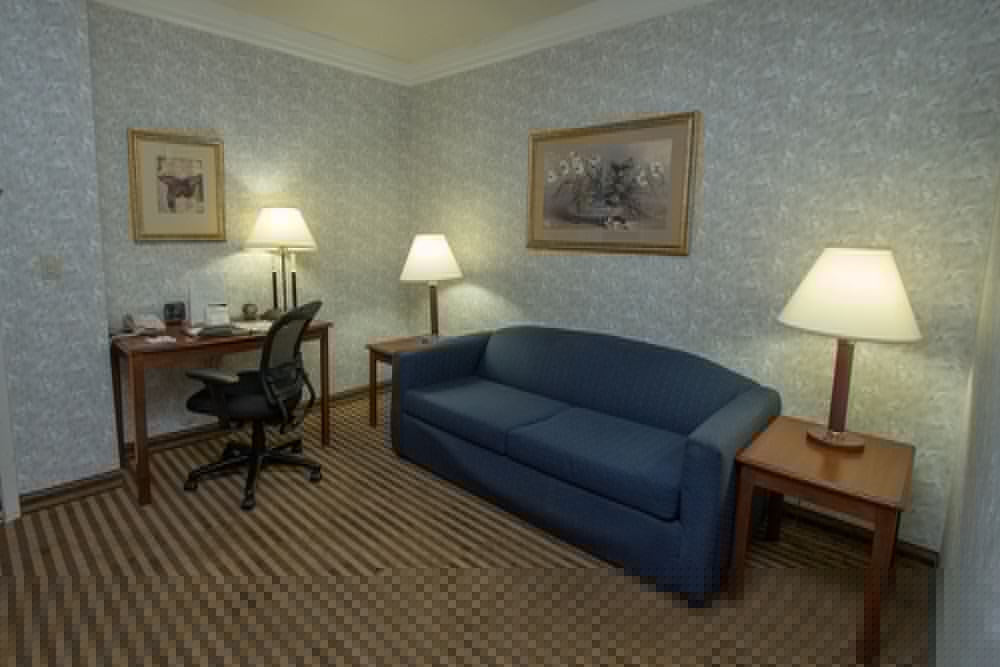 Comfort Suites Visalia - Convention Center 21/41