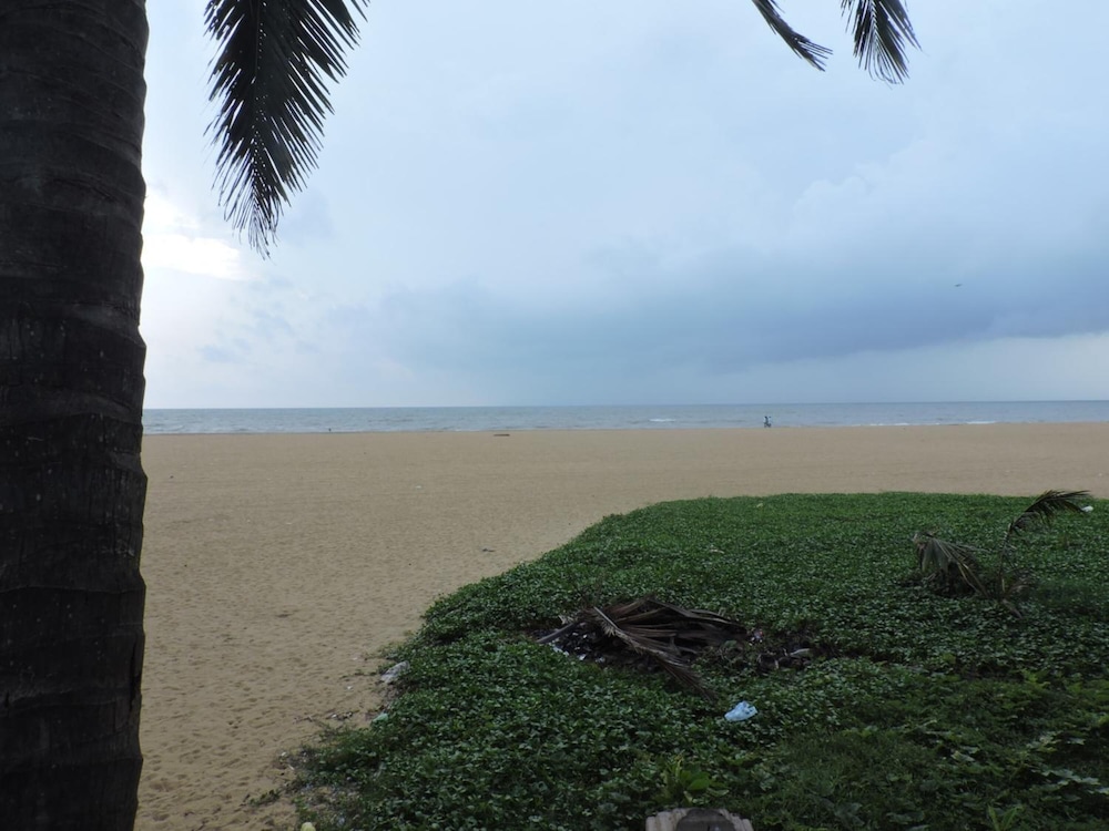 Oasis Beach Resort 41/41