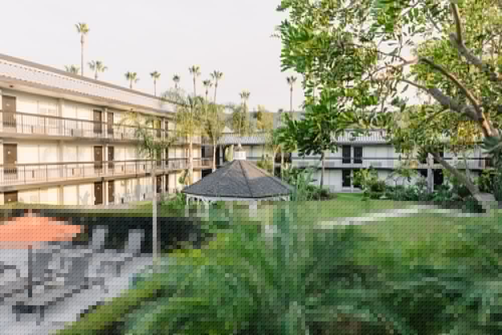 The Palm Garden Hotel 3/72