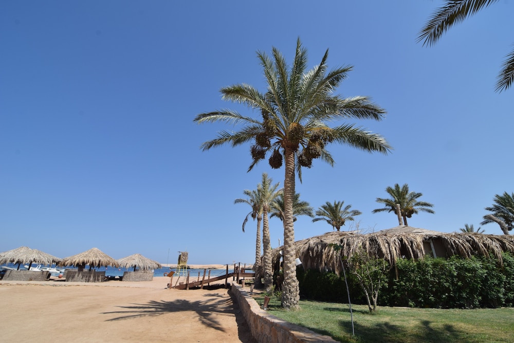 Sharm El Naga Resort and Diving Center 25/37
