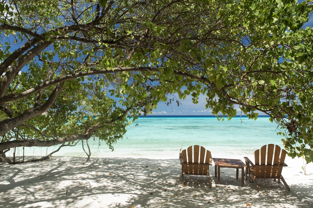 Summer Island Maldives 54/64