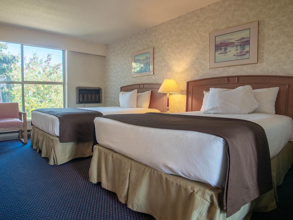 Hospitality Inn 31/55