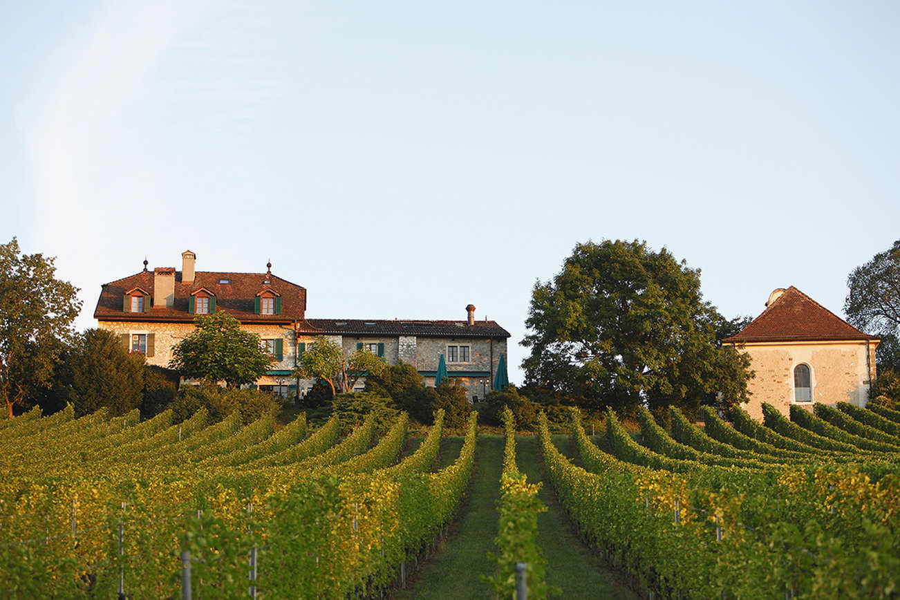 DOMAINE DE CHATEAUVIEUX 21/26