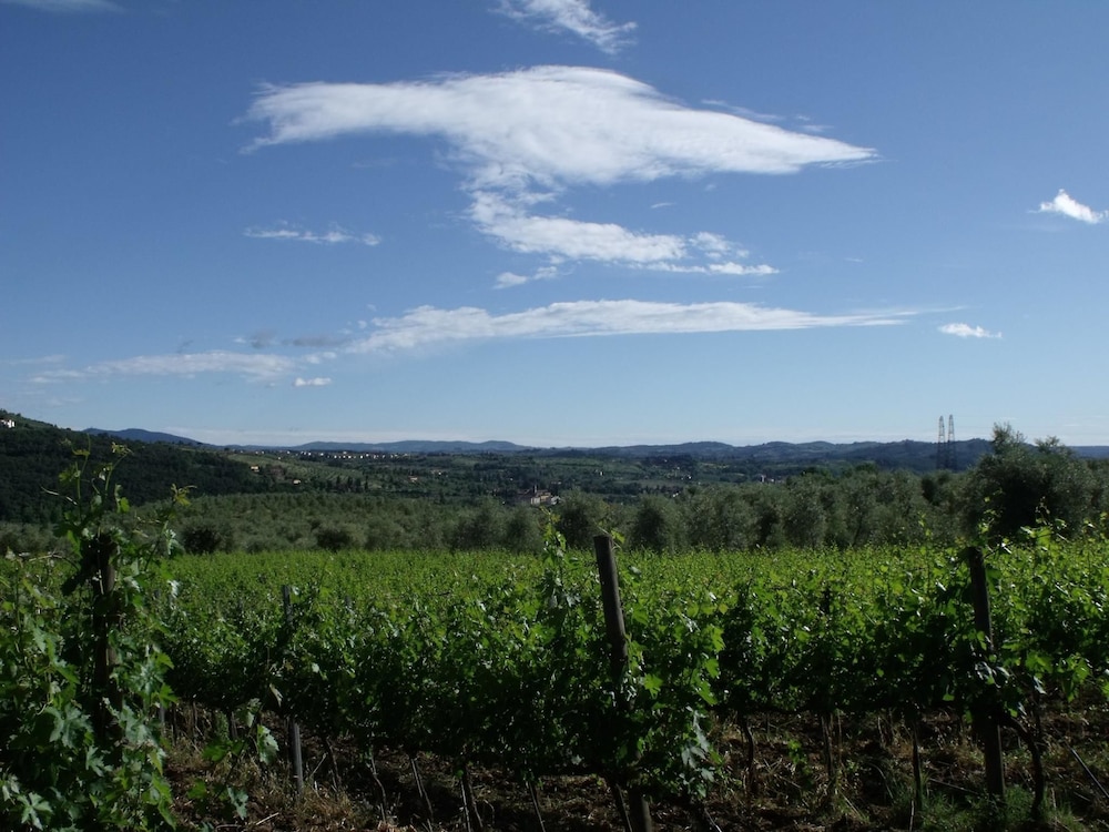 Il Viaio 24/39