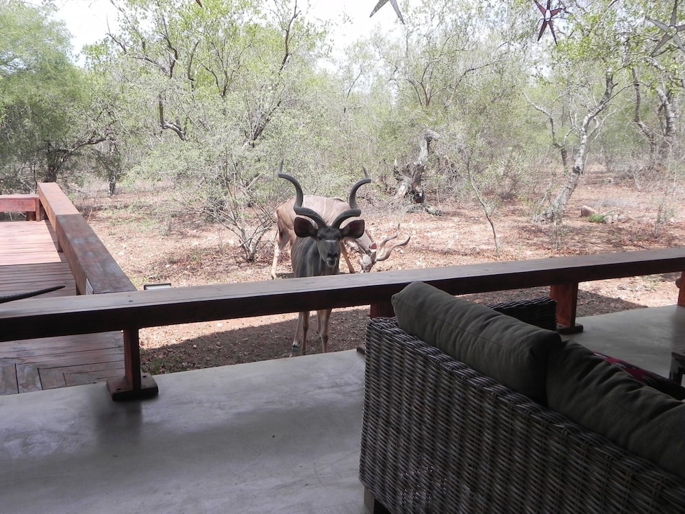 Marloth Kruger Bush Villa 16/36