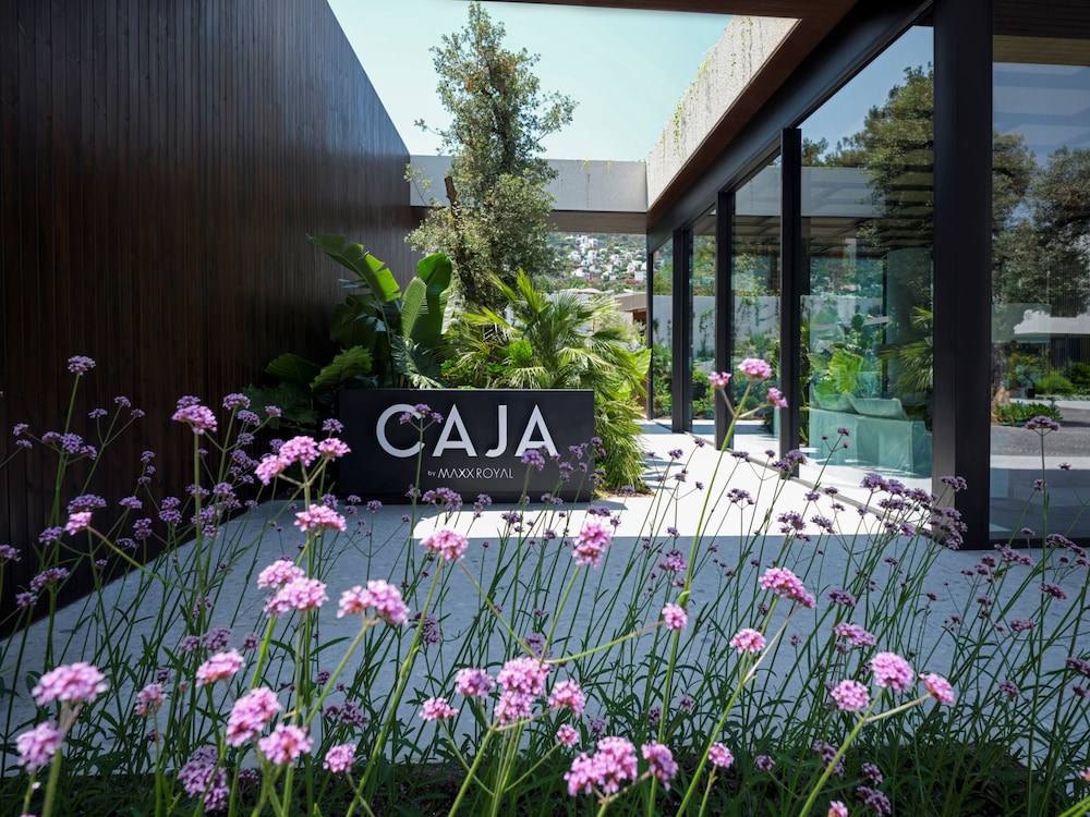 Caja By Maxx Royal 5/68