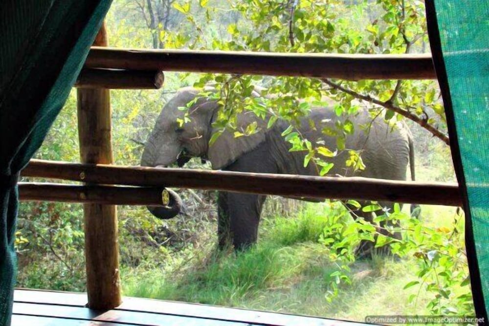 Muweti Bush Lodge 20/46