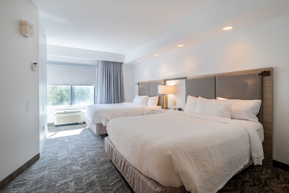 Suite, 2 Queen Beds, Trundle Bed