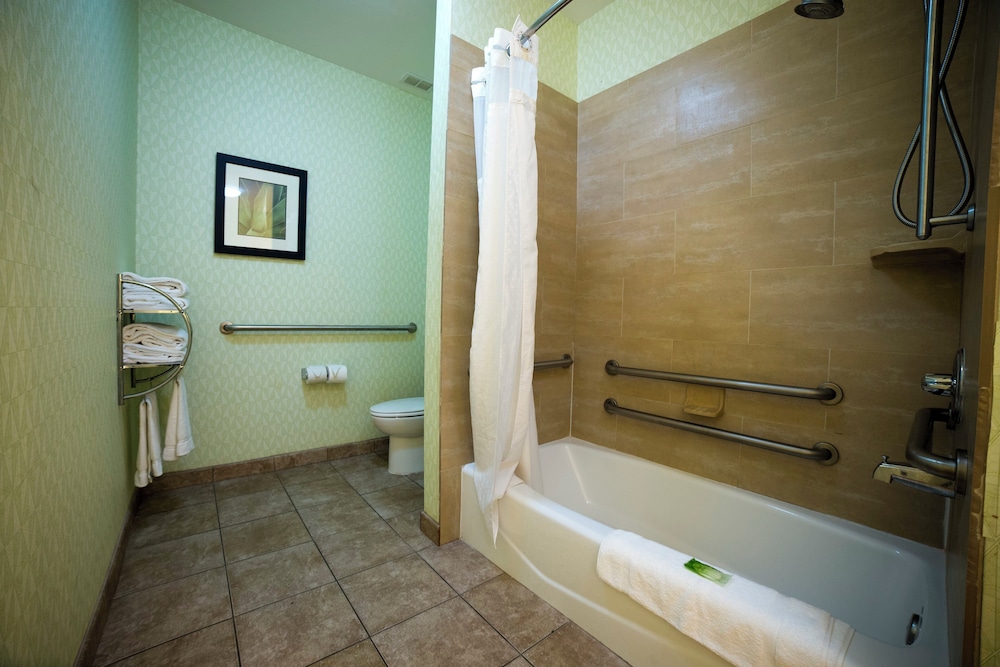 Holiday Inn Express Hotel Suites Atlanta East Lithonia 66/66