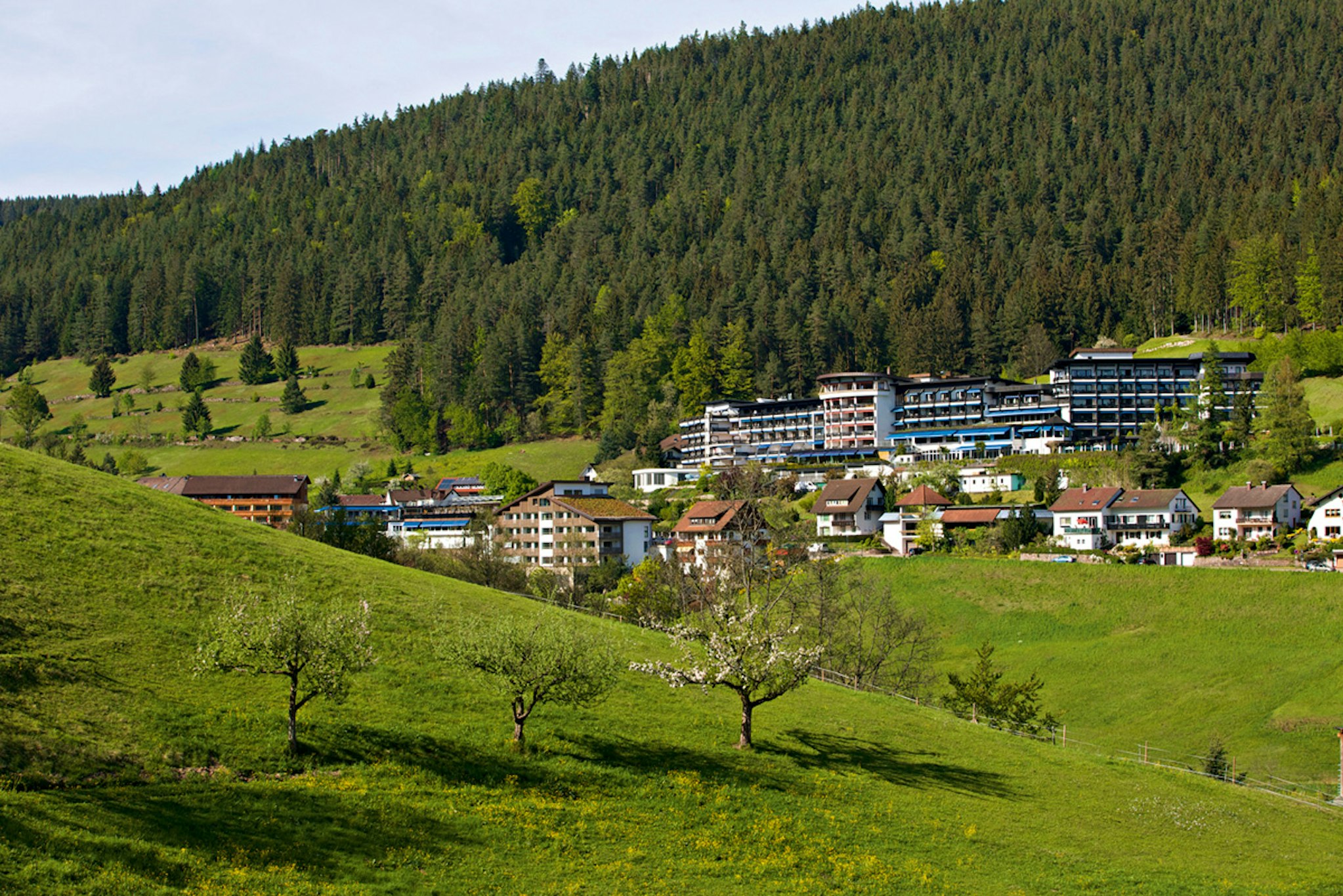 Traube Tonbach 53/56